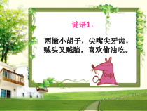 信息技术【泰山版】三年级上册第4课《快跟鼠标握握手》PPT课件