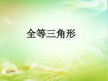 《2.5 全等三角形》PPT课件1-八年级上册数学湘教版