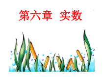 《3.1 平方根》PPT课件3-八年级上册数学湘教版