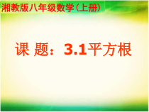 《3.1 平方根》PPT课件2-八年级上册数学湘教版