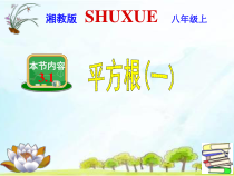 《3.1 平方根》PPT课件5-八年级上册数学湘教版