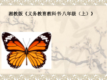 《小结练习》PPT课件4-八年级上册数学湘教版