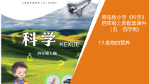 2020新青岛版（五四制）四年级上册科学13.《食物的营养》教学ppt课件（含教案）