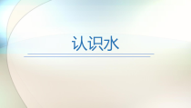 科学【青岛版（五四制）】一年级上册《认识水》PPT课件（共7页）