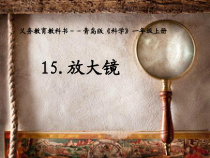 科学【青岛版（五四制）】一年级上册《放大镜》PPT课件（共12页）