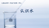 科学【青岛版（五四制）】一年级上册《认识水》参考课件