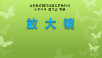 科学【青岛版（五四制）】一年级上册《放大镜》PPT课件（共15页）