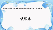 科学【青岛版（五四制）】一年级上册《认识水》PPT课件（共20页）