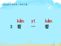 科学【青岛版（五四制）】一年级上册3.《看一看》PPT课件（共16页）