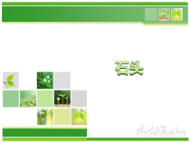 科学【青岛版（五四制）】一年级下册10《石头》PPT课件（共29页）