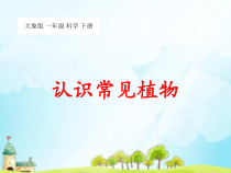 科学【大象版】一下2.1《认识常见植物》PPT课件（共19页）
