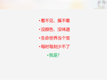 【部编版】小学二年级下道德与法治10《清新空气是个宝》PPT课件（共27页）