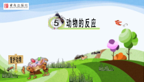 科学【青岛版（五四制）】一年级下册5《动物的反应》PPT课件（共13页）
