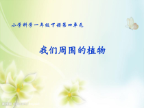 科学【青岛版（五四制）】一年级下册11《我们周围的植物》PPT课件（共40页）