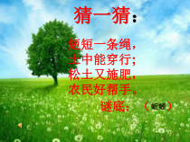 科学【青岛版（五四制）】一年级下册13《蚯蚓的家》PPT课件（共12页）