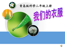 科学【青岛版（五四制）】二年级上册4.13《我们的衣服》PPT课件（共23页）