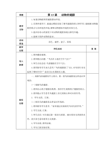 科学【青岛版（五年制）】二年级下册第13课《动物的翅膀》教案（表格式）
