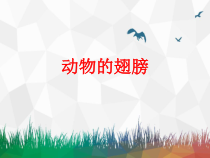 科学【青岛版（五年制）】二年级下册第13课《动物的翅膀》PPT课件（共9页）