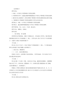 科学【青岛版（五年制）】三年级上册10《太阳和影子》教案 (2)