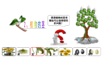 科学【青岛版（五四制）】三年级上册1.2植物的茎》PPT课件(共11页)