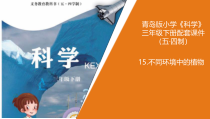 科学青岛版（五四制）三年级下册15《不同环境中的植物》PPT课件（不含视频）