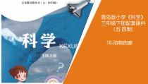 科学青岛版（五四制）三年级下册18《动物的家》PPT课件（不含视频）