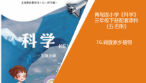 青岛版科学（五四制）三年级下册16《调查家乡植物》（课件+2份视频）