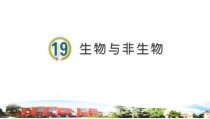 青岛版科学（五四制）三年级下册19《生物与非生物》（PPT课件+2视频）
