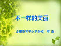 心理健康【闽教版】四年级下册第八课《不一样的美》PPT课件