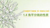 《1.4 角平分线的性质》PPT课件1-八年级下册数学湘教版