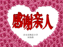 心理健康【闽教版】五年级下册第十三课《感谢亲人3》PPT课件