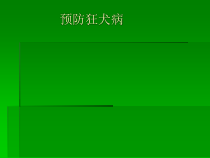 健康教育【武汉版】一年级第二十三课《预防狂犬病4》PPT课件