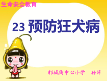 健康教育【武汉版】一年级第二十三课《预防狂犬病3》PPT课件