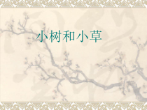 健康教育【武汉版】一年级第二课《小花小草对我说1》PPT课件