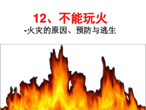 健康教育【武汉版】一年级第十二课《不能玩火4》PPT课件