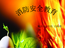 健康教育【武汉版】一年级第十二课《不能玩火1》PPT课件