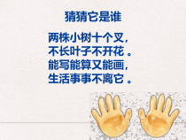 健康教育【武汉版】一年级第十九课《健康要“四勤”1》PPT课件