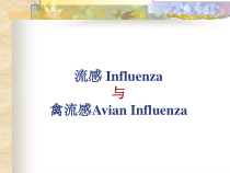健康教育【武汉版】二年级第二十八课《预防流行性感冒5》PPT课件