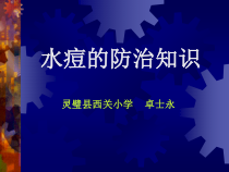 健康教育【武汉版】二年级第二十六课《预防水痘1》PPT课件
