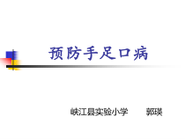 健康教育【武汉版】二年级第二十五课《预防手足口病3》PPT课件