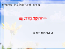 健康教育【武汉版】二年级第十五课《电闪雷鸣时2》PPT课件