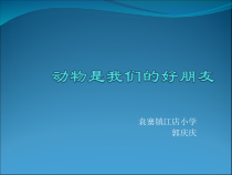 健康教育【武汉版】二年级第一课《动物是我们的好朋友1》PPT课件
