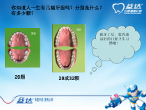 健康教育【武汉版】三年级第二十七课《爱牙就是爱健康5》PPT课件