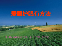 健康教育【武汉版】三年级第二十一课《爱眼护眼有方法2》PPT课件