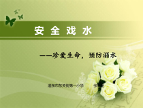 健康教育【武汉版】三年级第九课《安全戏水9》PPT课件