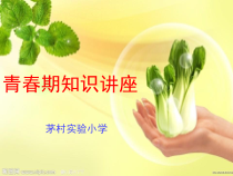 健康教育【武汉版】四年级第二十六课《青春期的自我保健2》PPT课件