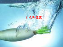 健康教育【武汉版】四年级第二十一课《什么是健康1》PPT课件