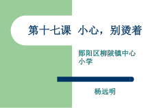 健康教育【武汉版】四年级第十七课《小心，别烫着 （说课）》PPT课件