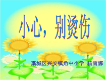 健康教育【武汉版】四年级第十七课《小心，别烫着1》PPT课件