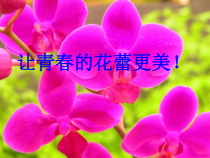 健康教育【武汉版】五年级第二十八课《女孩悄悄话1》PPT课件